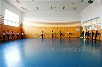舞蹈培訓機構塑膠地板 運動地膠材料價