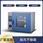DHG-9023A电热恒温鼓风干燥箱
