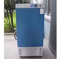 DW-500大型低溫恒溫箱培養箱