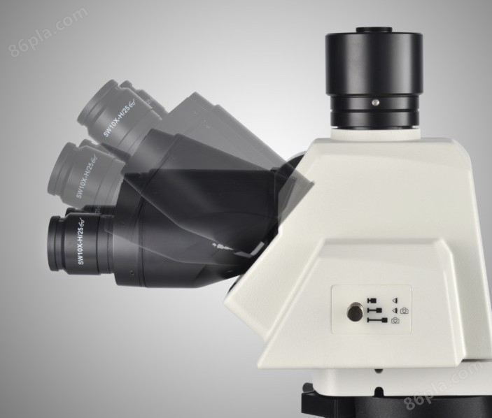 NE930电动正置显微镜(图2)