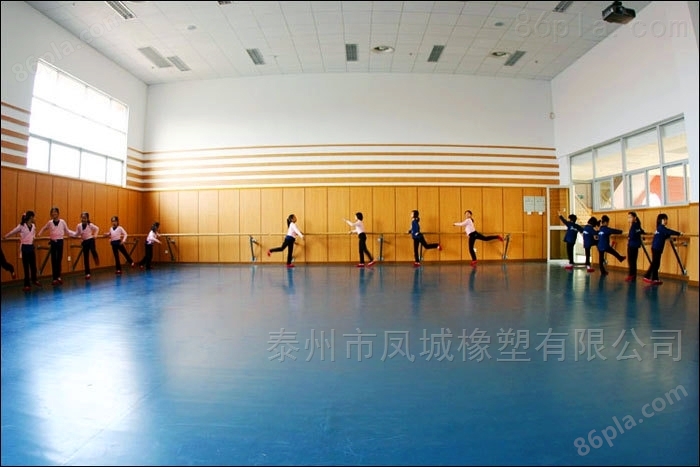 舞蹈培训机构塑胶地板 运动地胶材料价